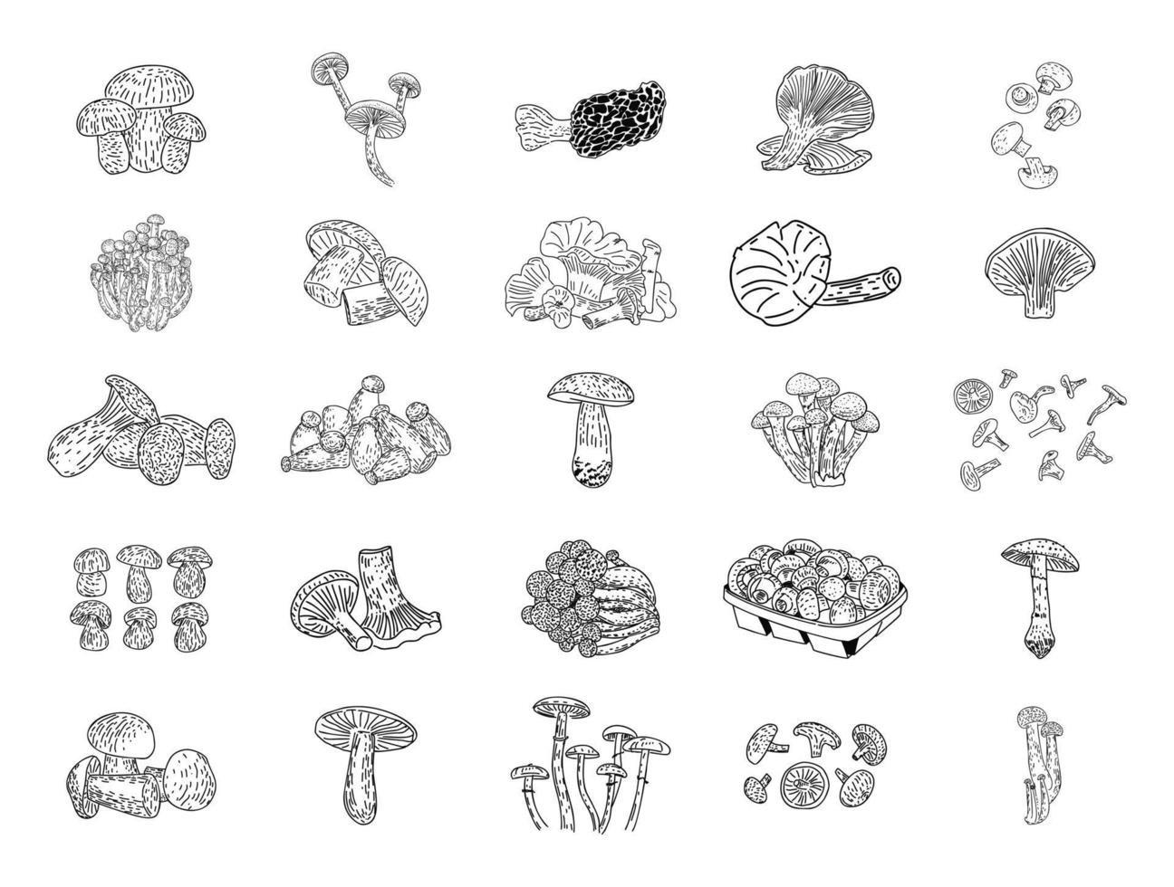 Mushrooms products. Vector illustration.