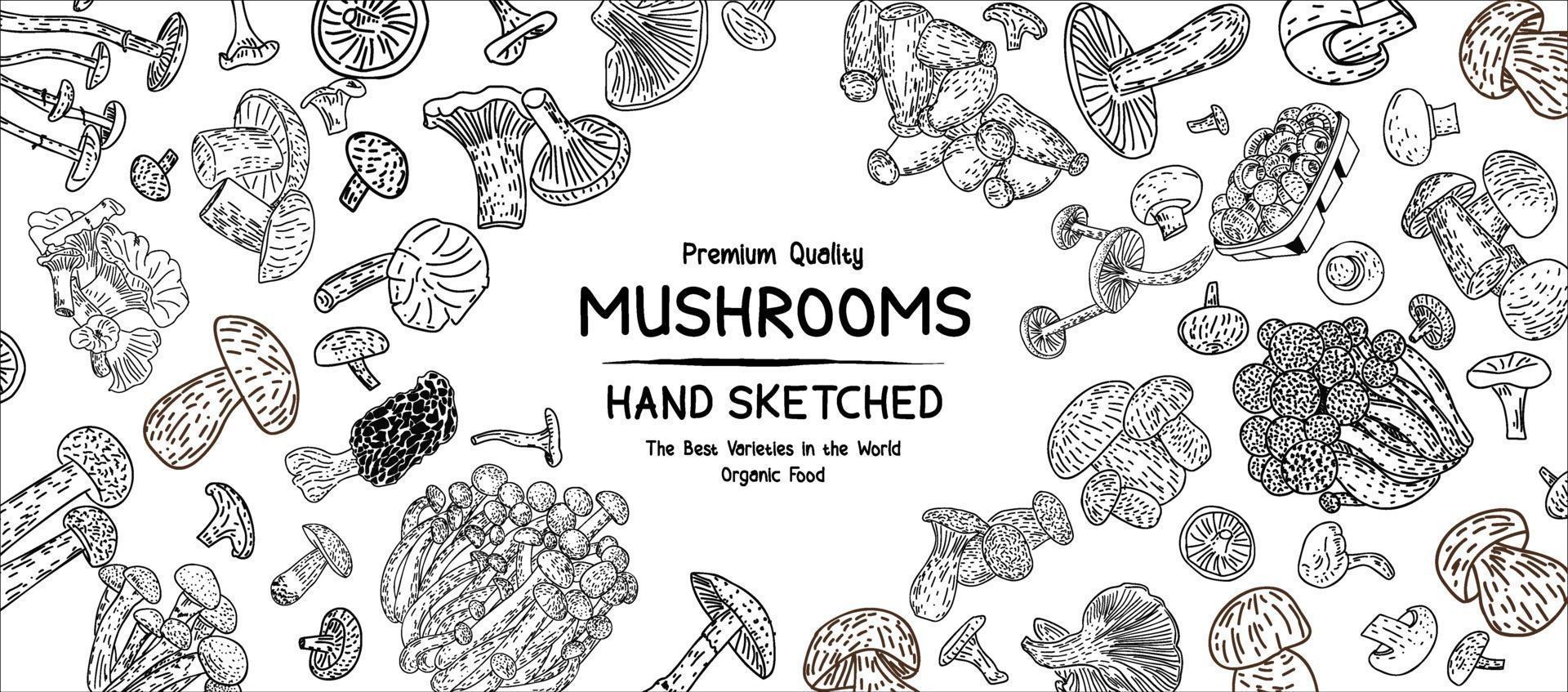 Mushrooms products. Vector illustration.