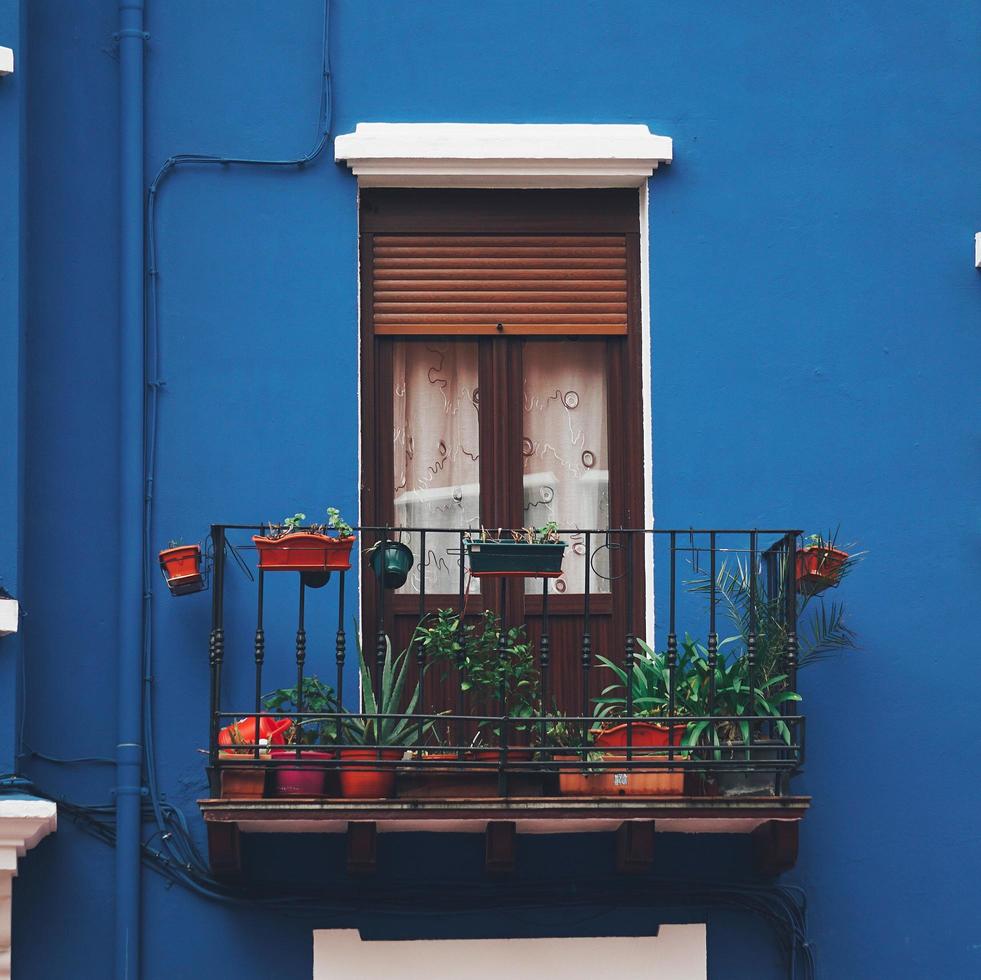 Window on the blue facade of the house, architecture in Bilbao city, Spain photo