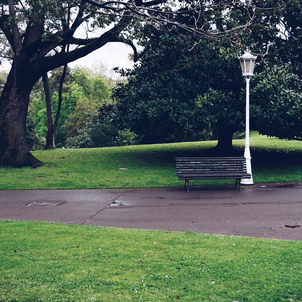 Wooden bench on the street photo