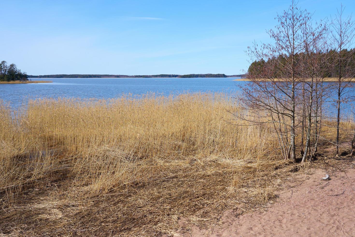 la costa del mar Báltico en Finlandia en la primavera en un día soleado. foto