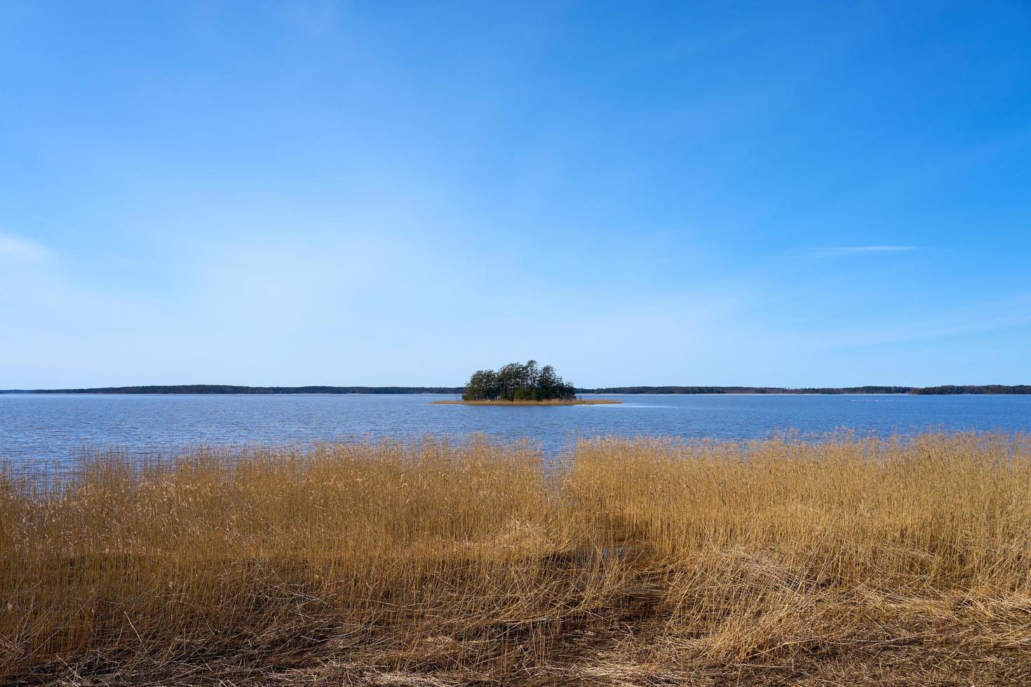 Isla en la costa del mar Báltico en Finlandia en primavera foto