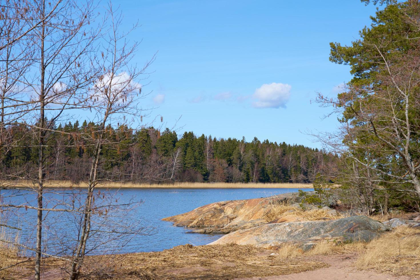 la costa del mar Báltico en Finlandia en la primavera en un día soleado. foto