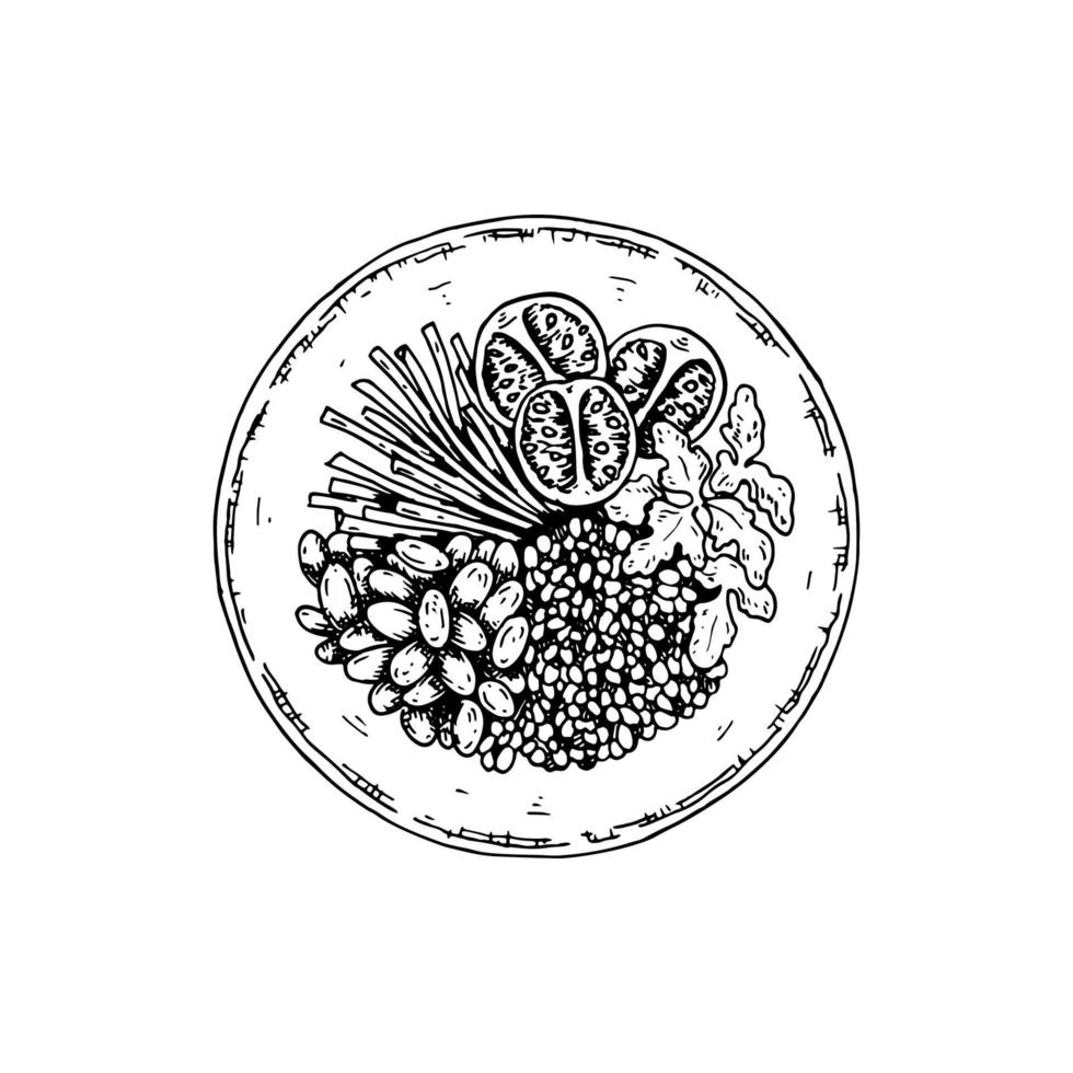 Hand drawn quinoa bowl isolated on white background. Vector illustration in sketch style.