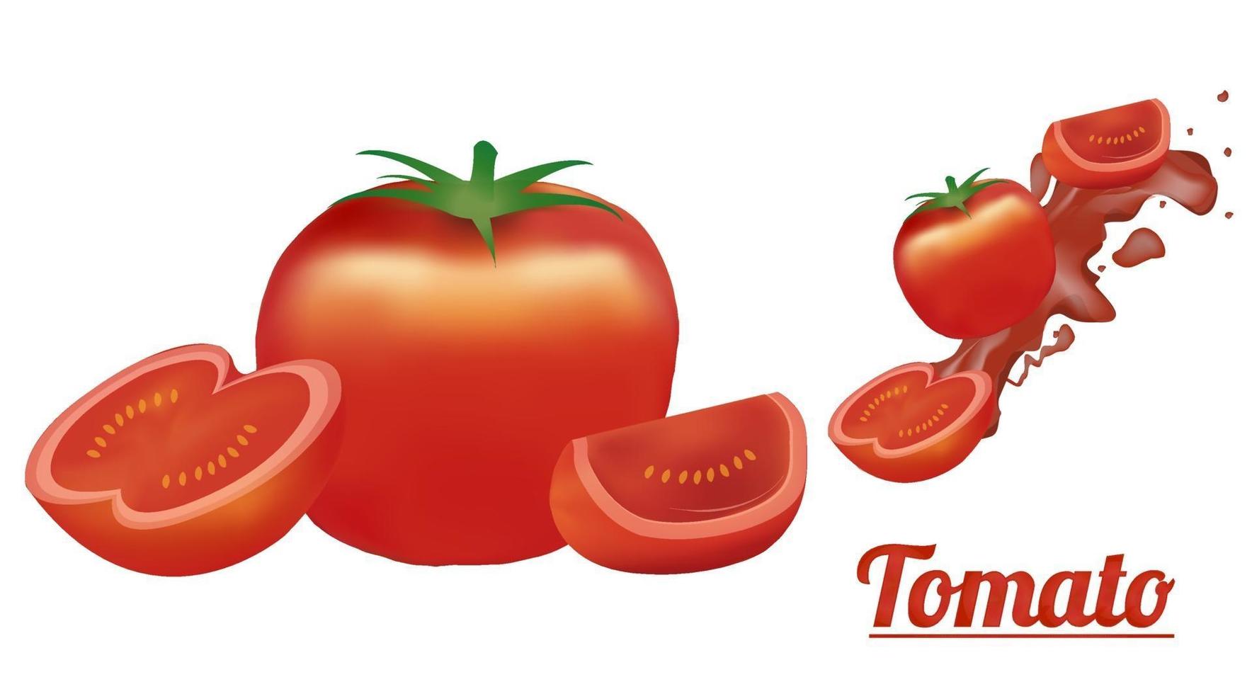 un vector de tomate