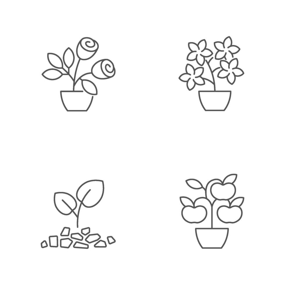 Conjunto de iconos lineales de categorías de tienda de jardinería vector