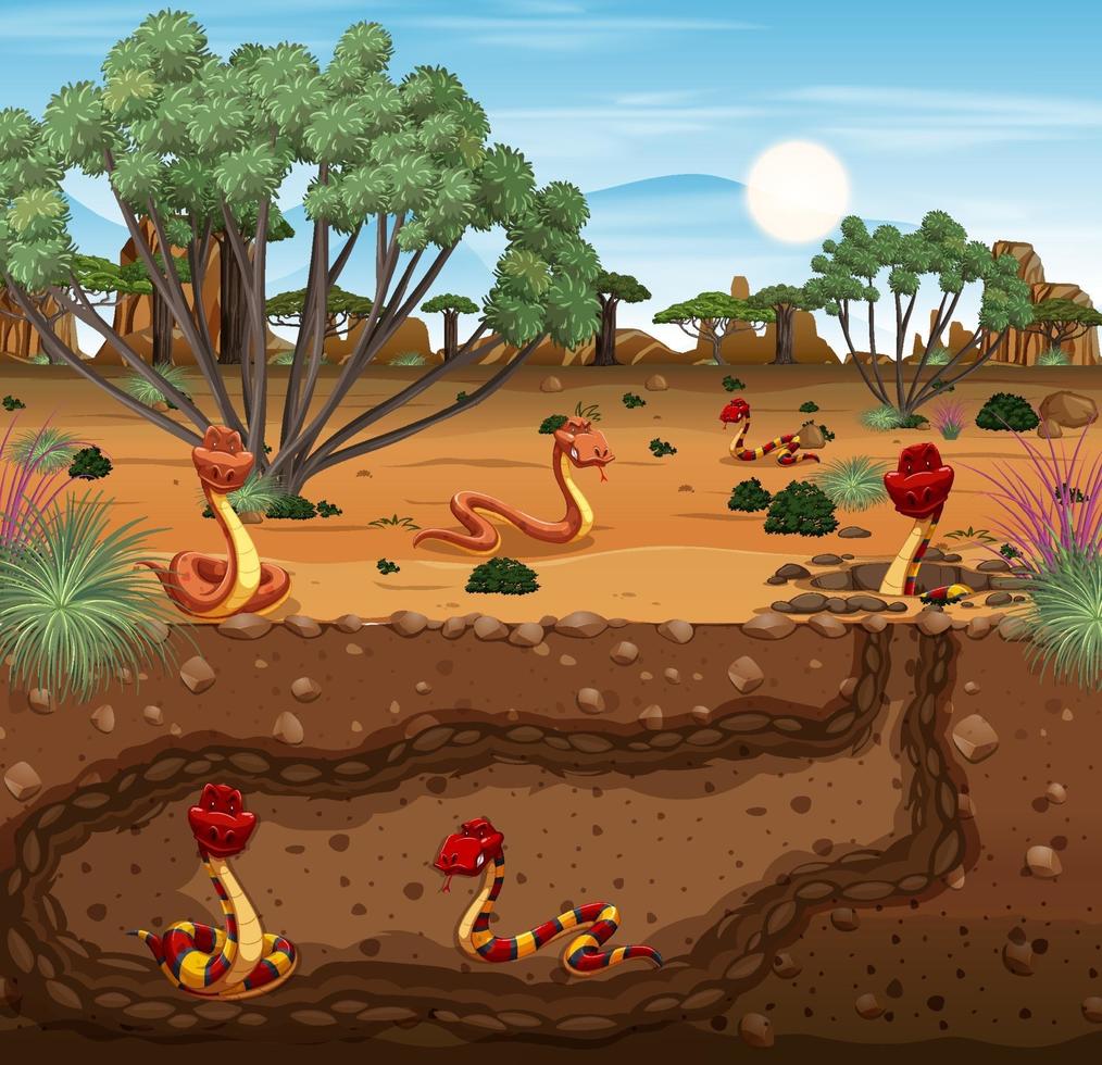 Underground animal burrow with snake family vector