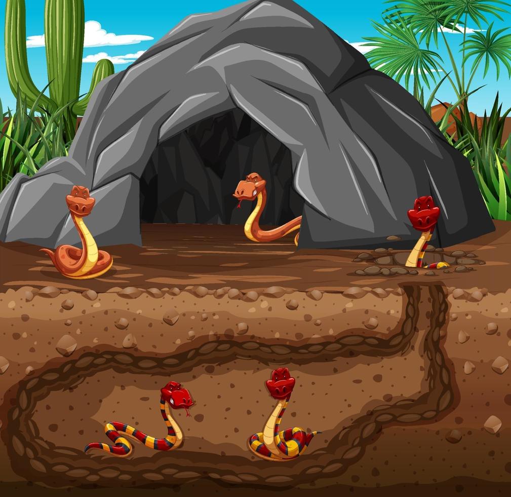 Underground animal burrow with snake family vector