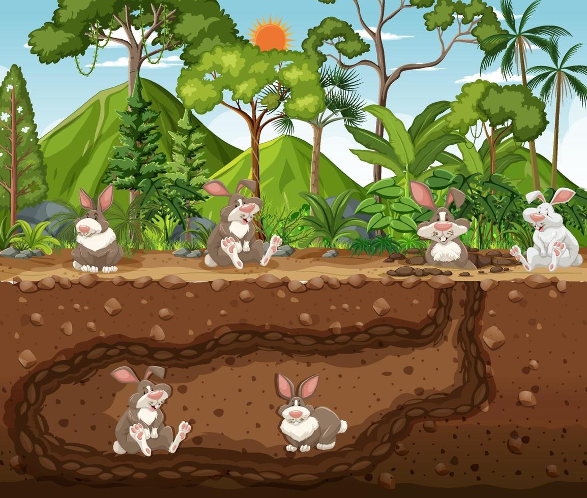 Underground animal burrow with rabbit family vector