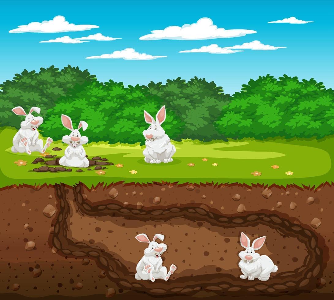 Underground animal burrow with rabbit family vector