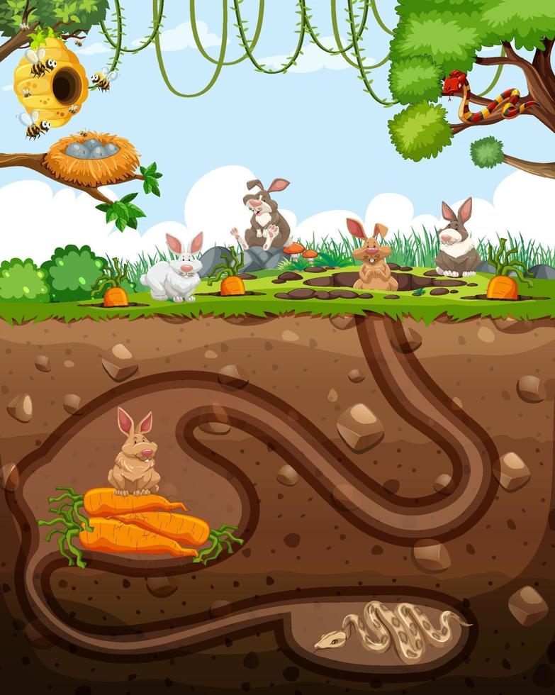 Underground animal burrow with rabbit family vector