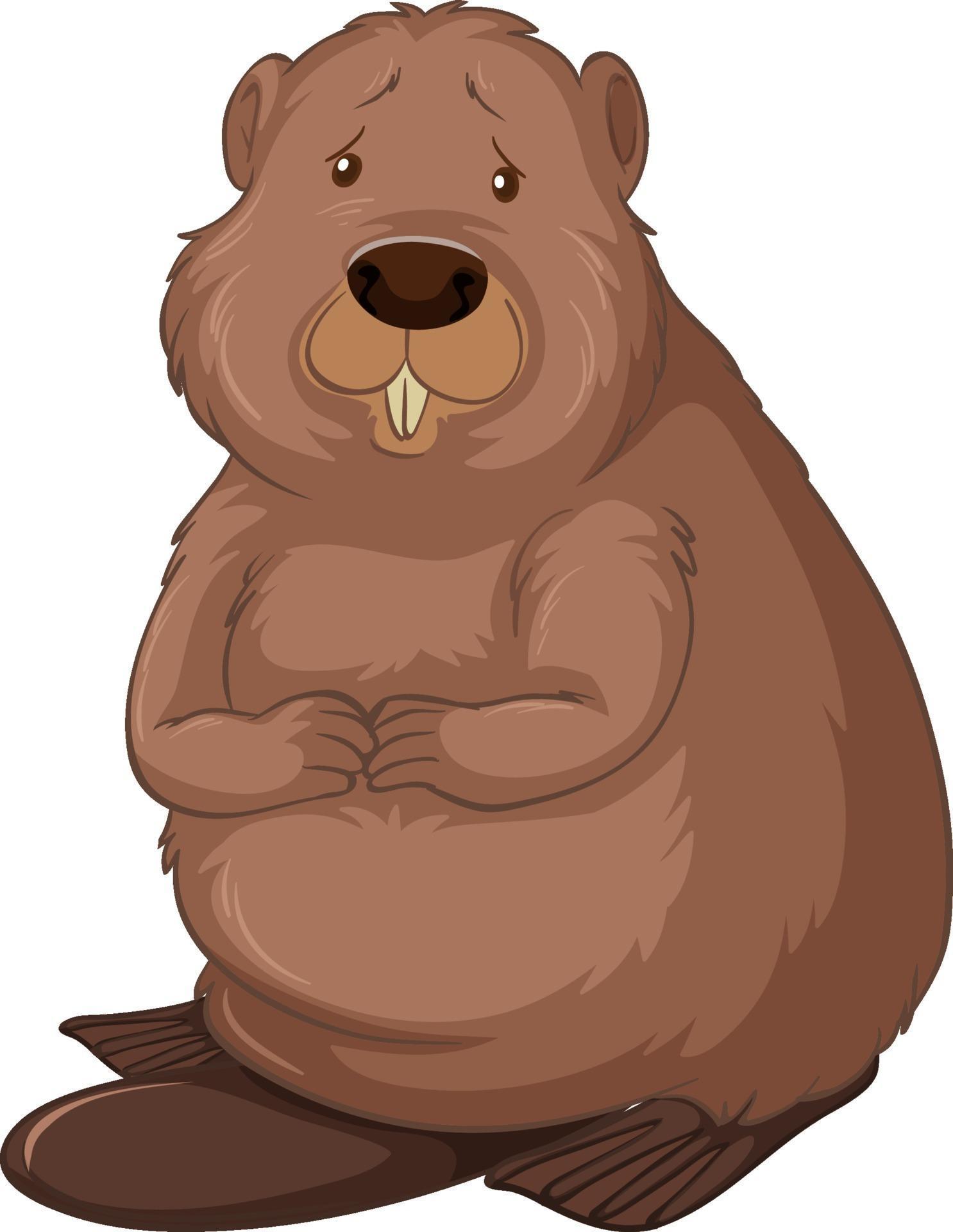 Beaver cartoon character isolated on white background 2284408 Vector