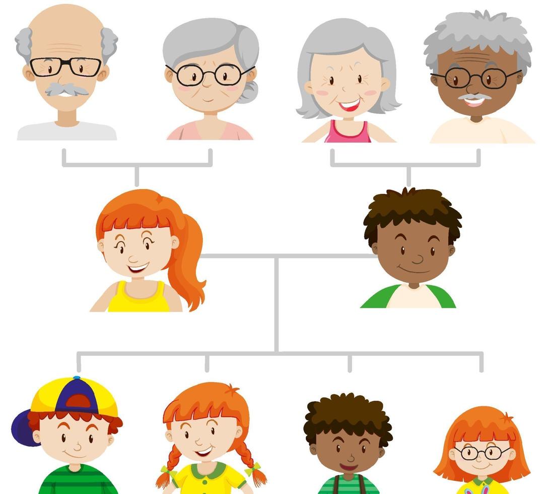 diagrama que muestra el árbol genealógico de tres generaciones vector