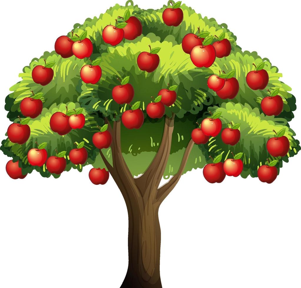 An apple tree isolated on white background vector