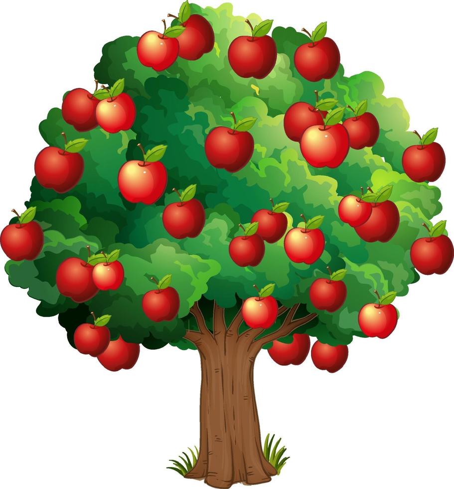 Manzanas rojas en un árbol aislado sobre fondo blanco. vector