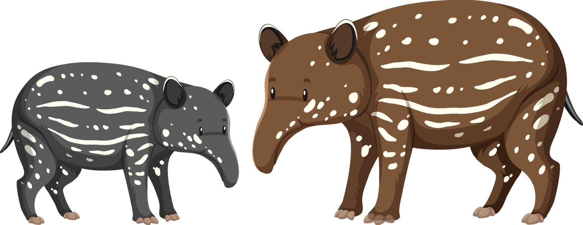 Two baby tapir wild animal on white background vector