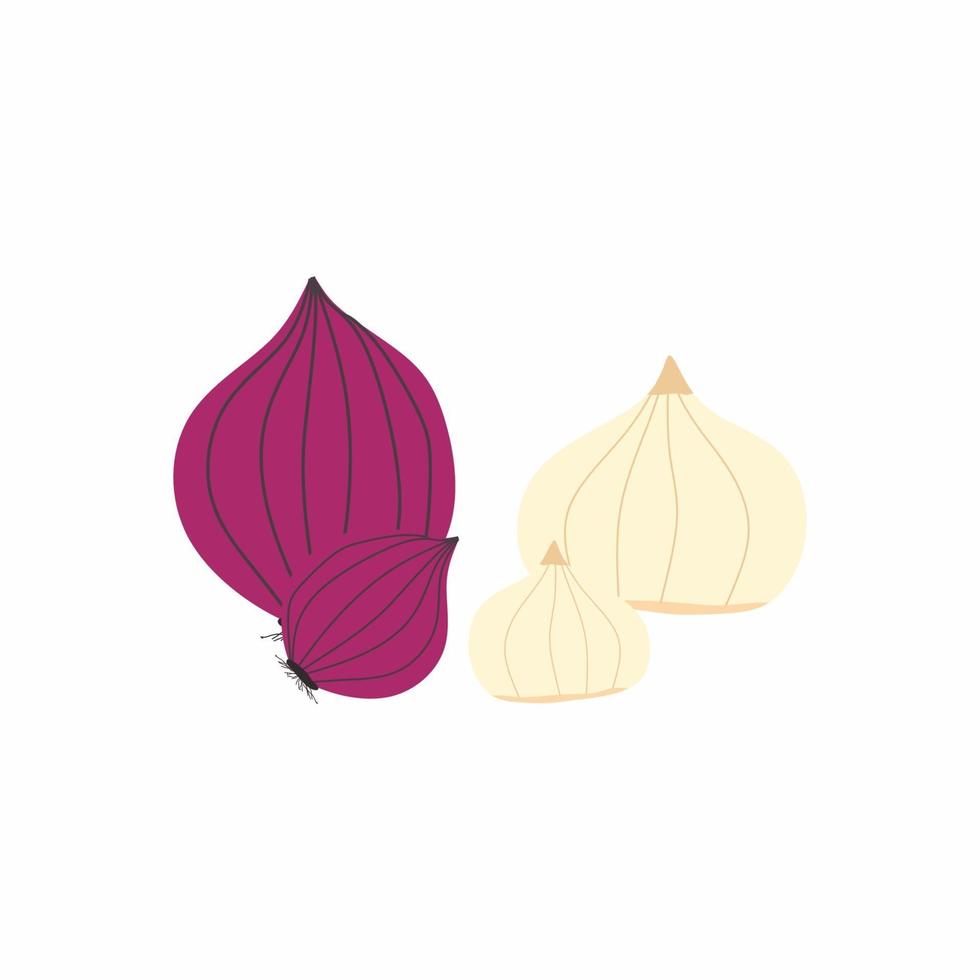 Flat design icons for red onion garlic. Fresh delicious vegan diet vegetarian products, wholesome healthy food, cooking ingredients. Vector illustration isolated on white background