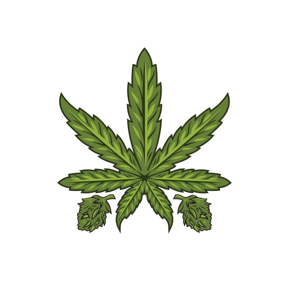 Cannabis marijuana leaf design illustration vector