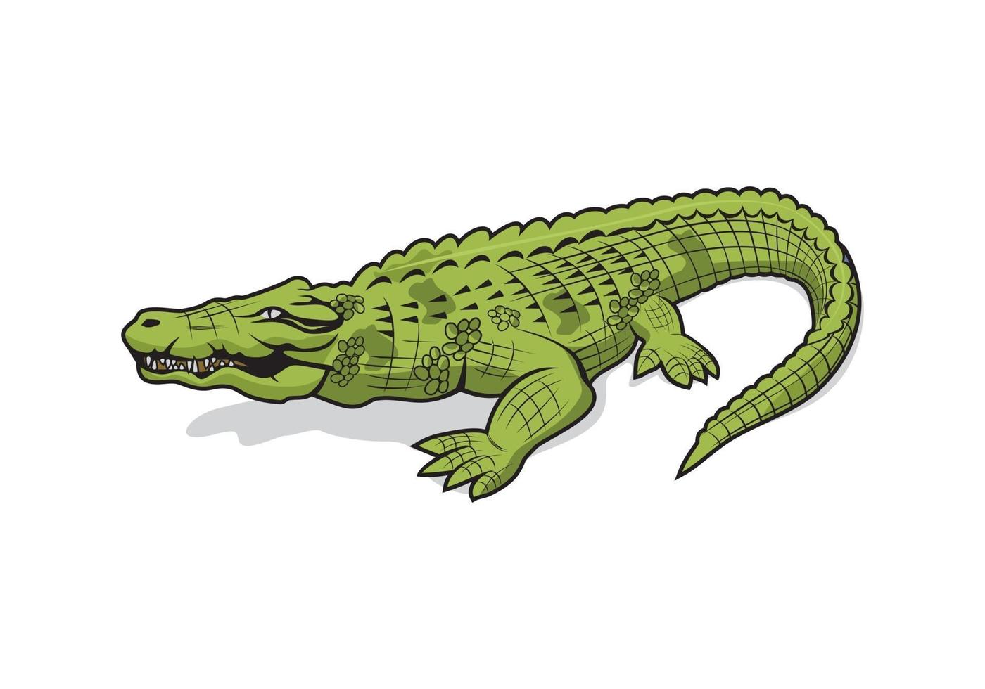 diseño de personaje de dibujos animados de cocodrilo cocodrilo vector