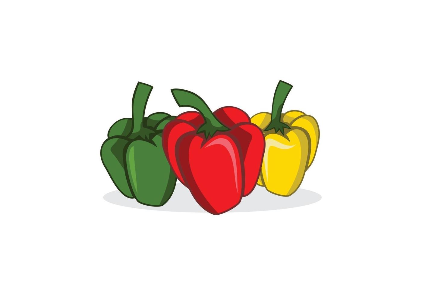 Paprika design design illustration vector