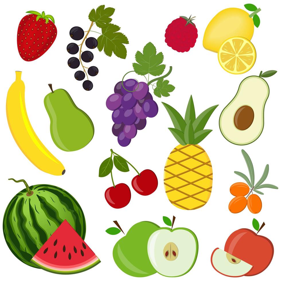 Conjunto de frutas y bayas aislado sobre un fondo blanco. vector