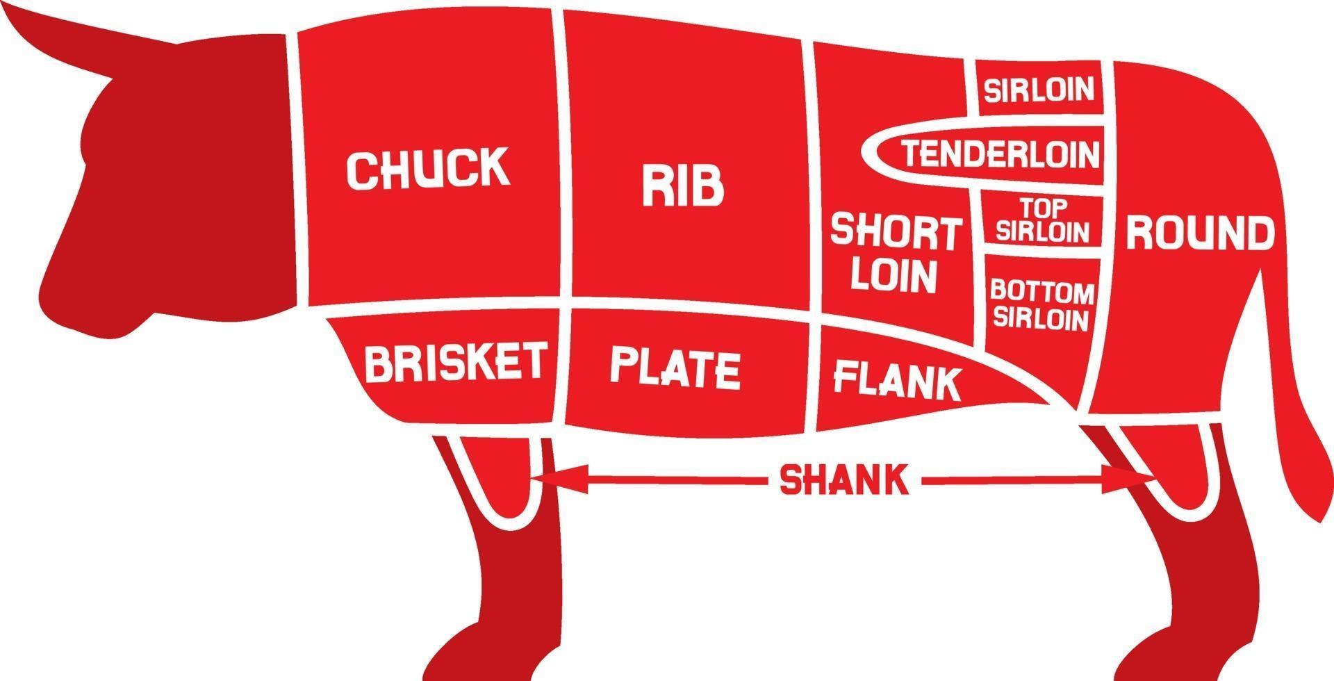 beef cuts chart vector