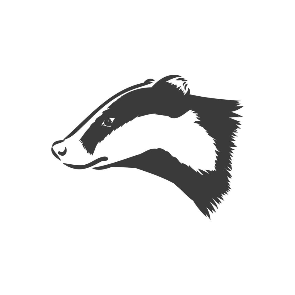 Skunk sketch drawing isolated on white background vector