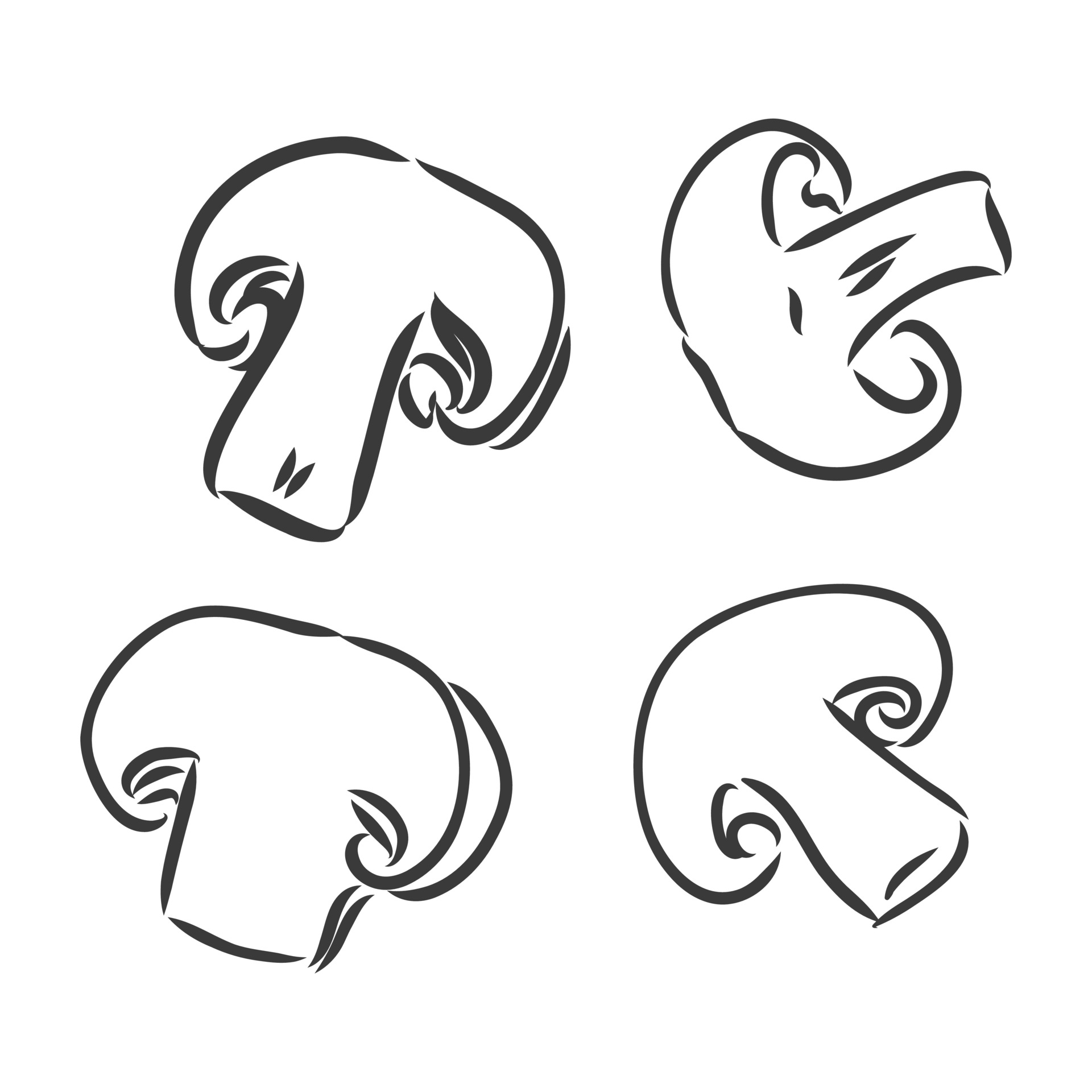 Mushroom Slice Vector Art, Icons, and Graphics for Free Download