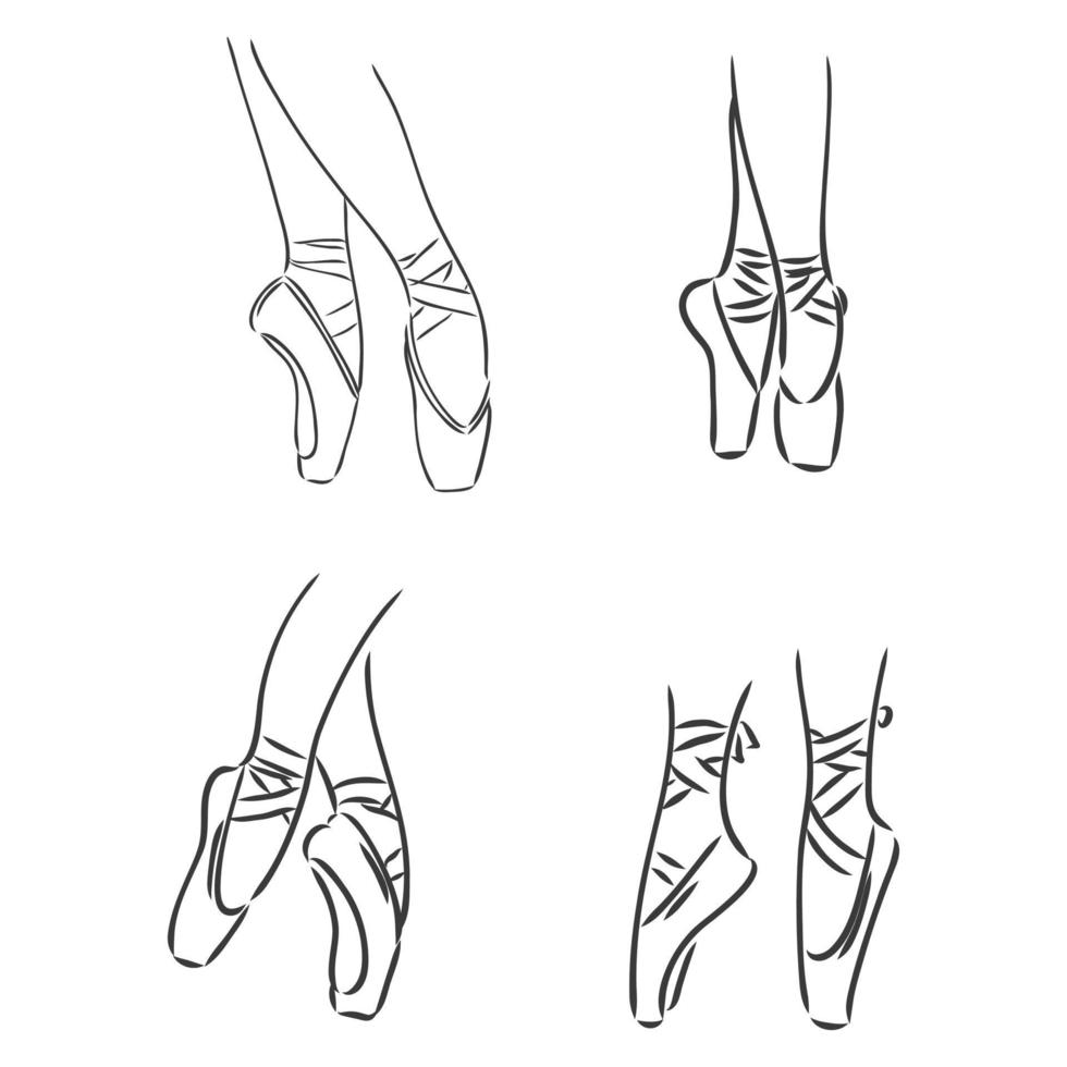 piernas y zapatos de una joven bailarina. imagen vectorial. Dibujo vectorial de zapatos de punta sobre un fondo blanco. vector