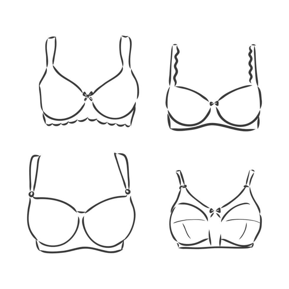 Hand Drawn Women's Bra Sketch Symbol isolated on white background. Vector  lacy bra In Trendy Style. Woman's underwear hand drawing sketches elements bra  vector sketch on white background 2286168 Vector Art at