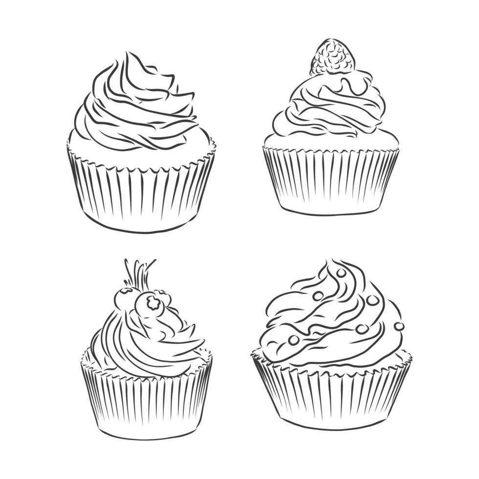 lindo conjunto de cupcakes aislado sobre fondo blanco. ilustración vectorial vector