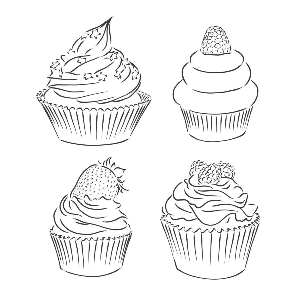 lindo conjunto de cupcakes aislado sobre fondo blanco. ilustración vectorial. bosquejo del vector de la magdalena en un fondo blanco