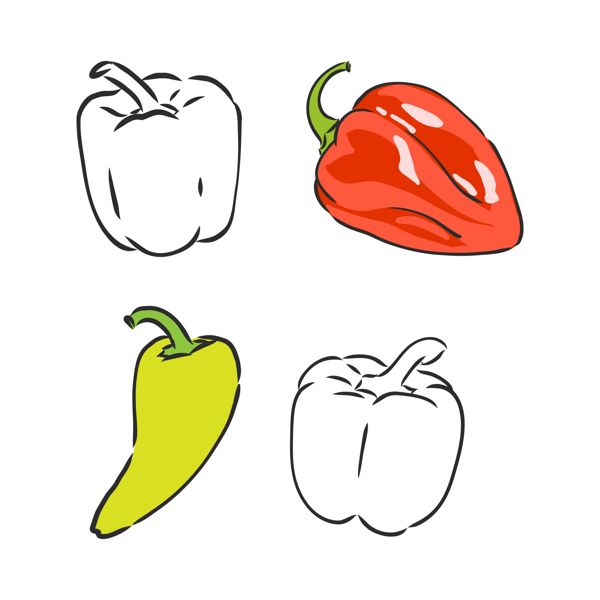 Half a bell pepper. Black and white vector illustration. Isolated on a