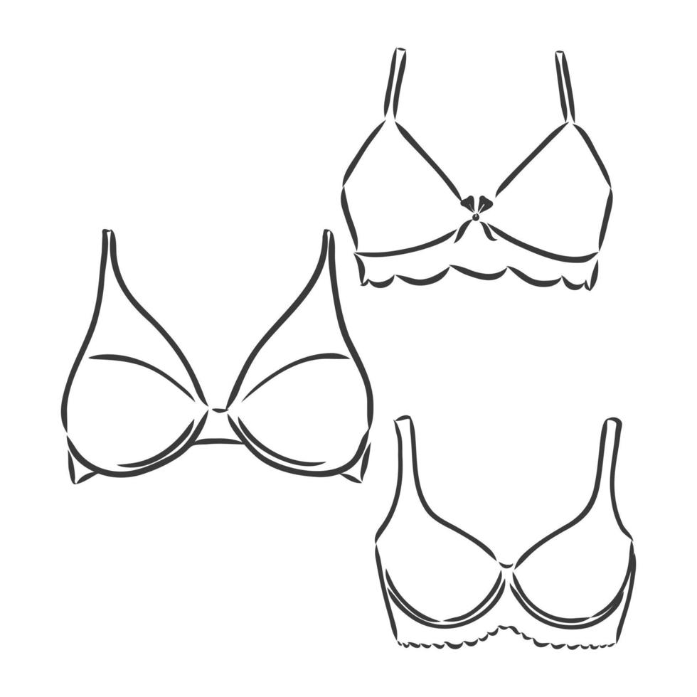 Hand Drawn Women's Bra Sketch Symbol isolated on white background. Vector lacy bra In Trendy Style. Woman's underwear hand drawing sketches elements bra vector sketch on white background