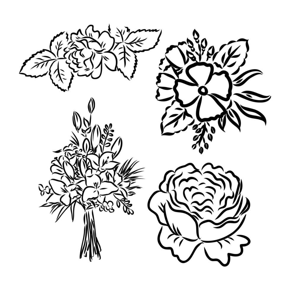 Hermoso ramo de lirio blanco y negro monocromo aislado sobre fondo. dibujado a mano. Diseño de tarjeta de felicitación e invitación de la boda, cumpleaños, dibujo vectorial de composición floral sobre un fondo blanco. vector