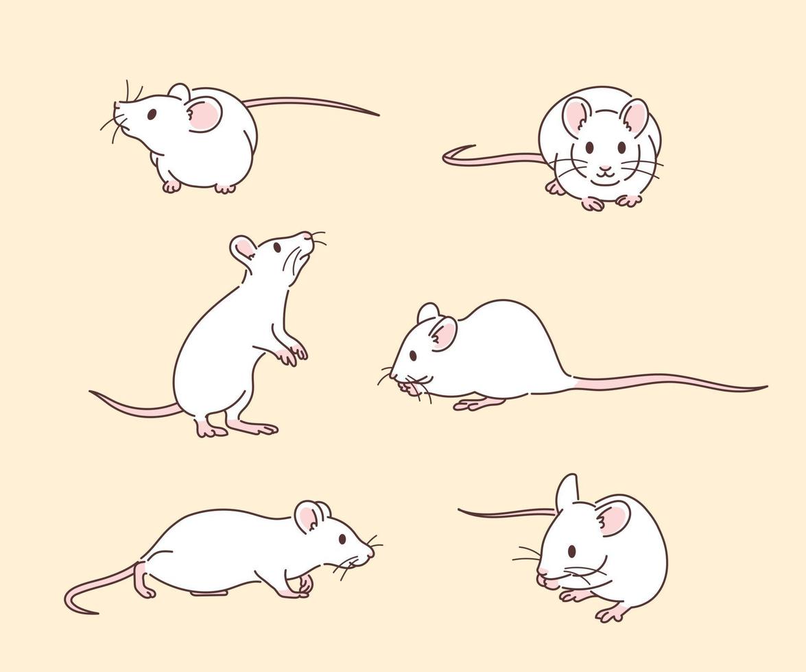 White rat animals. hand drawn style vector design illustrations.