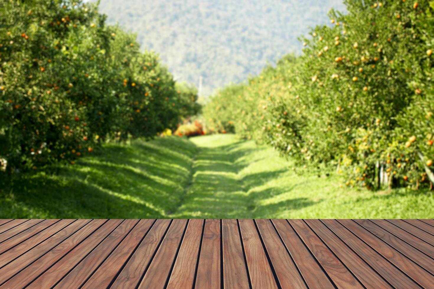 Wood top table with an orange farm background. Can be used to display or montage your products. photo