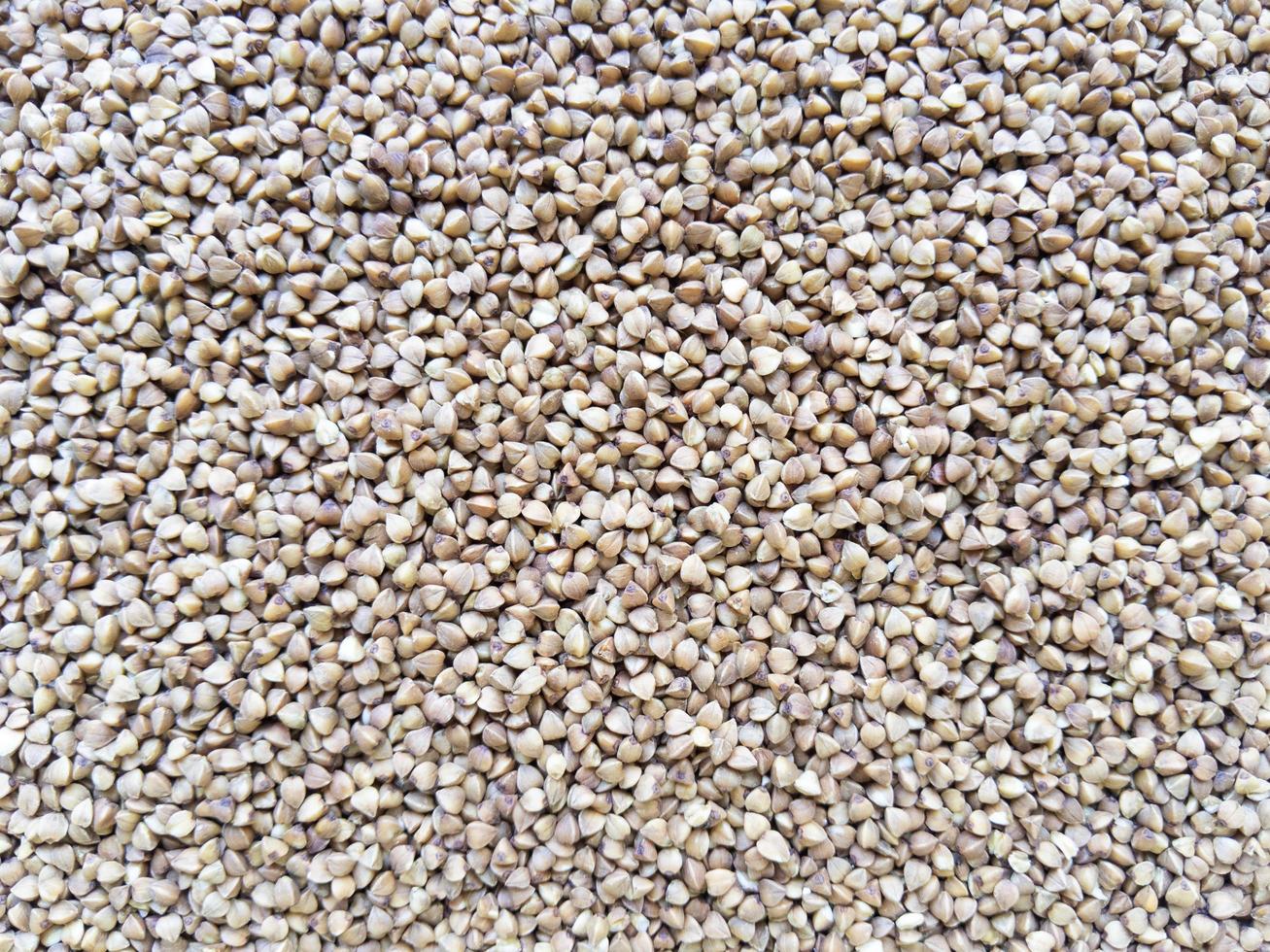Fondo de textura de alimentos de trigo sarraceno marrón. foto de stock.