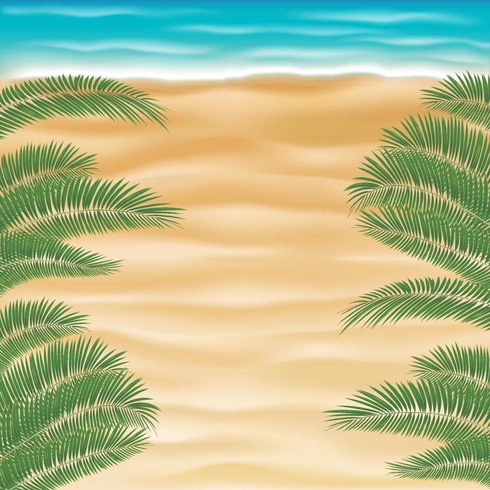 top view sea sand beach with coconut tree leaf vector