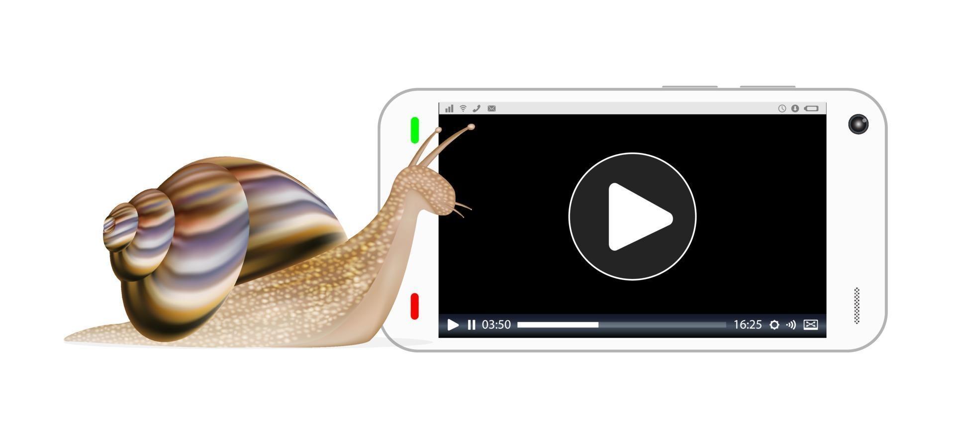 snail and smartphone with media player screen vector