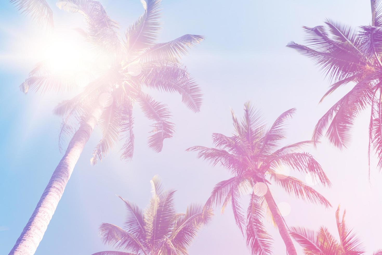 Tropical palm coconut trees on sunset sky flare and bokeh nature background. photo