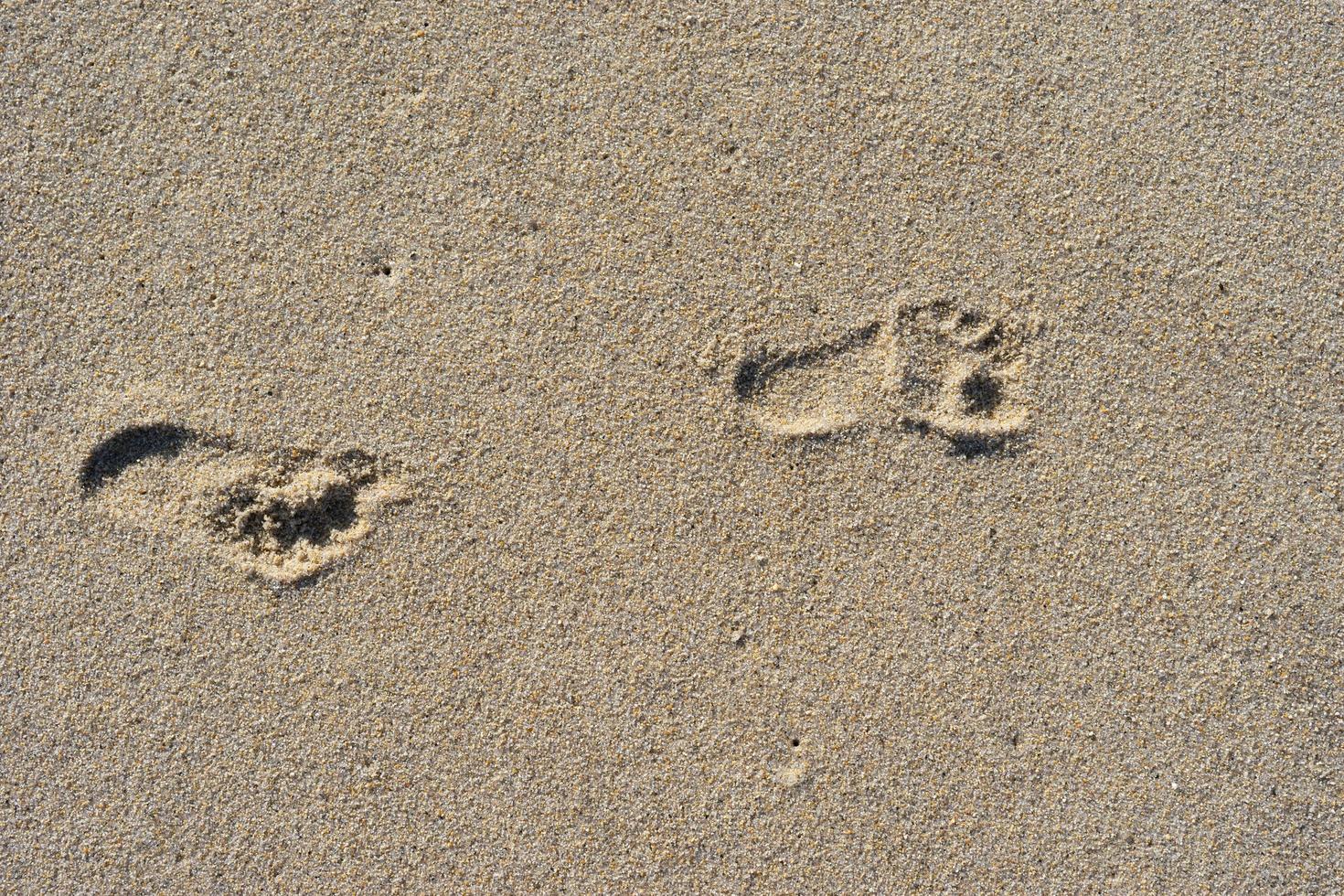 Footprints in sand photo