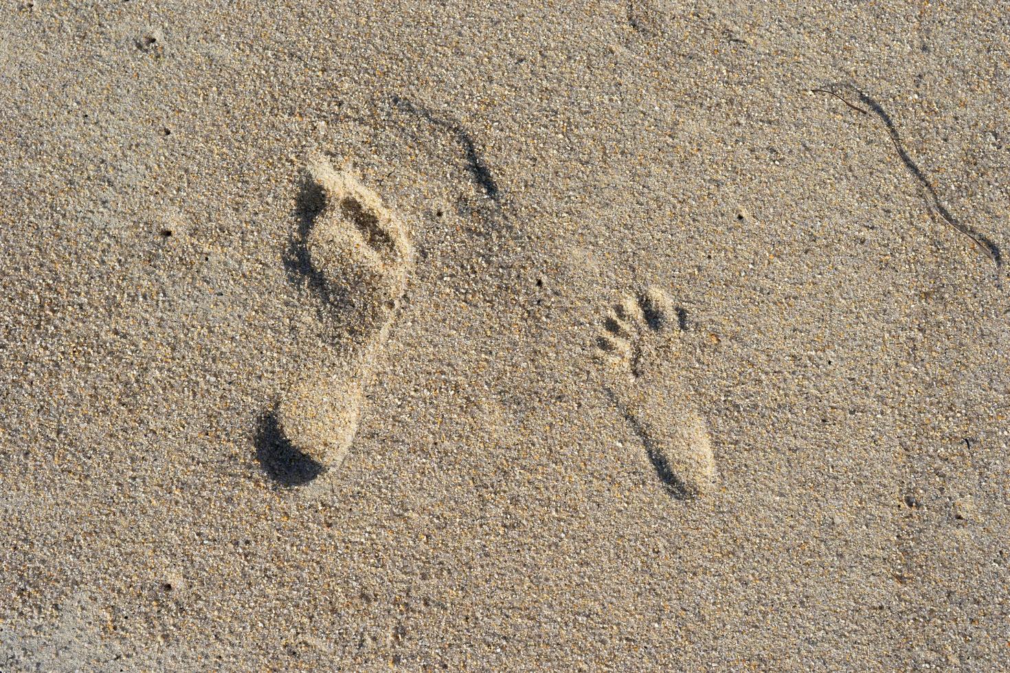 Footprints in sand photo