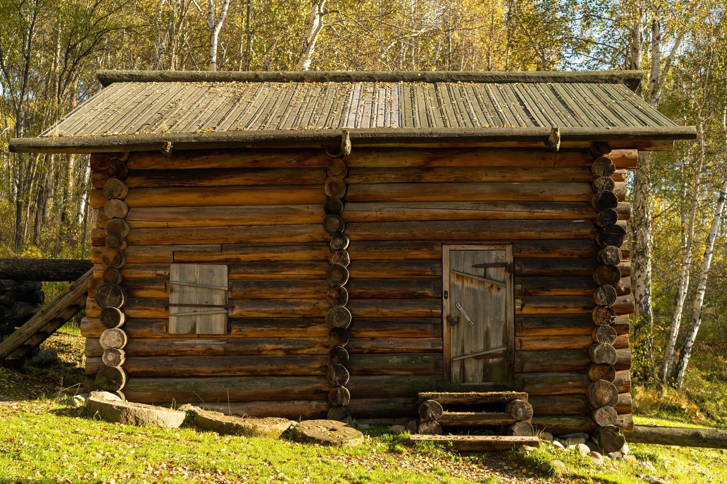 Cabaña en un bosque de abedules en Taltsy, Rusia foto