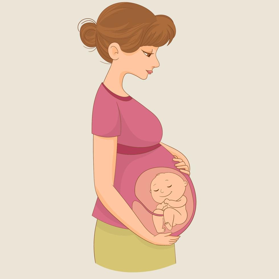 Mom with baby in her belly. Waiting for the birth vector