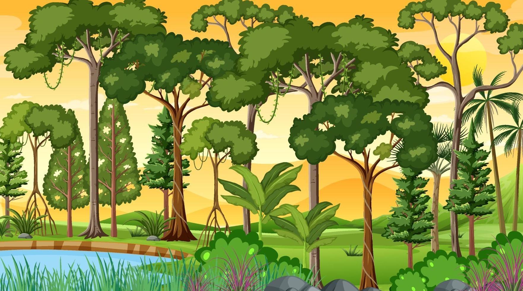 escena del paisaje forestal al atardecer con muchos árboles diferentes vector