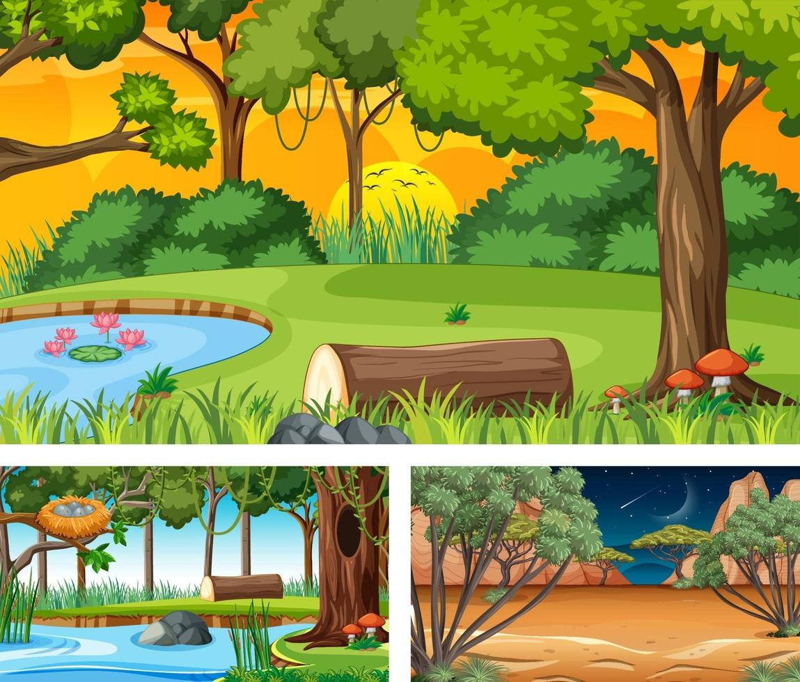 Set of different forest horizontal scenes vector