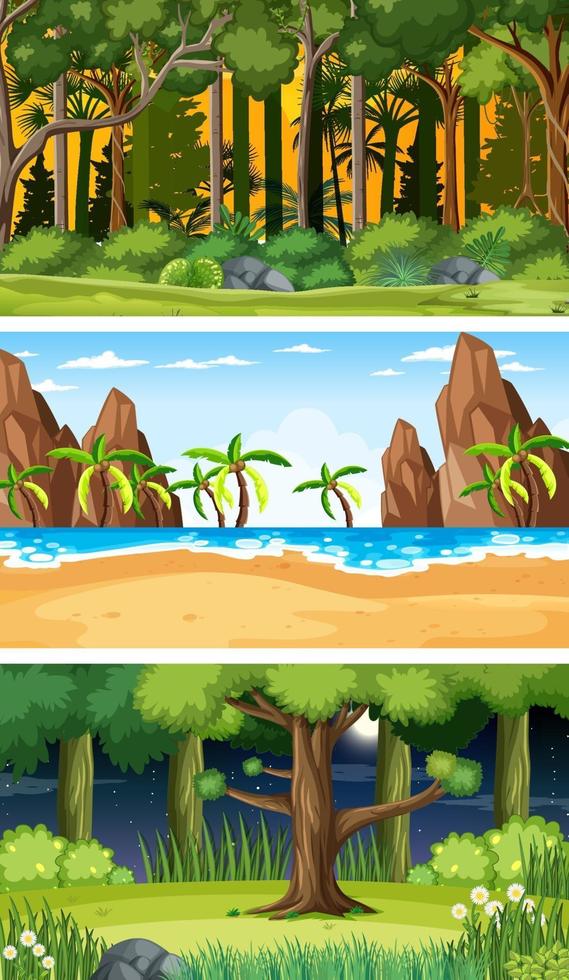 Conjunto de diferentes escenas horizontales del bosque en diferentes momentos. vector