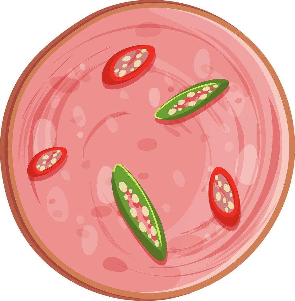 Sliced bologna sausage with chili isolated vector