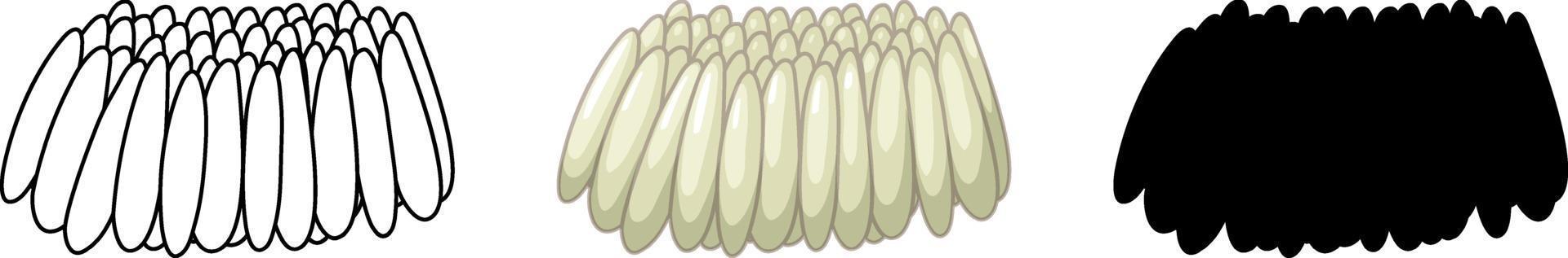 Set of mosquito eggs in three style vector